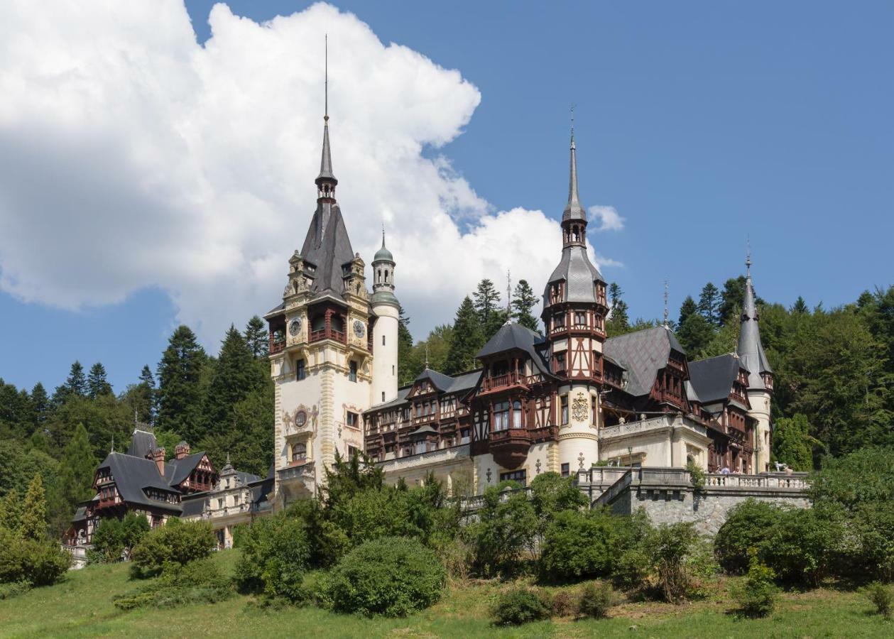 Apartament Mont Blanc Sinaia Bagian luar foto
