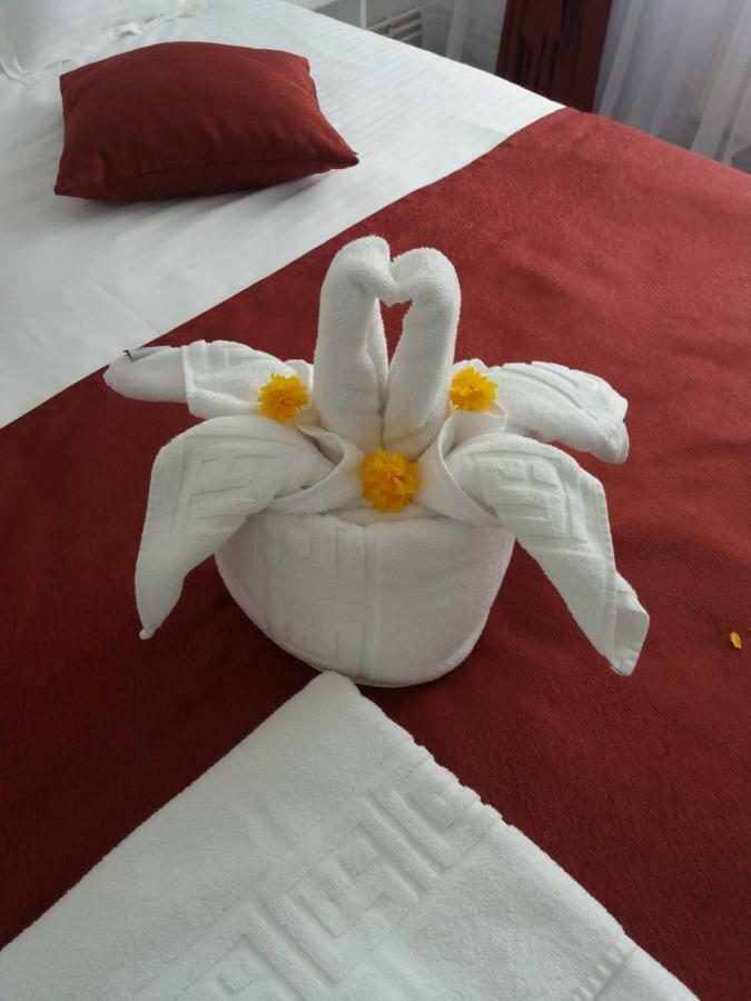 Apartament Mont Blanc Sinaia Bagian luar foto